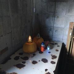 漁業ライトの画像