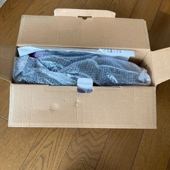 【21日まで　新品未使用】ハンディスチームアイロンの画像