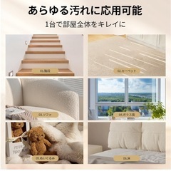 ★新品★リンサークリーナー カーペットクリーナー 家庭用スチームクリーナー 布洗浄機の画像