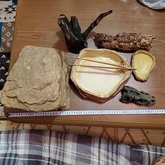 爬虫類ゲージの画像