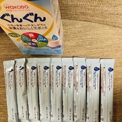 ぐんぐん（830g缶+スティック9本）の画像