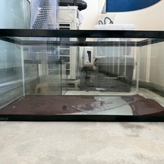 水槽の画像