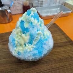 笑ちゃんメダカ笑売価格の画像