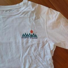 エディーバウアー　Tシャツ　Sの画像