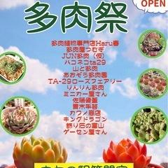 2025/12/7「多肉祭」と昔ながらの「青空市」フリーマ…