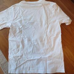 エディーバウアー　Tシャツ　Sの画像