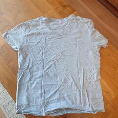 トミーフィルフィガー　Tシャツ　Sの画像