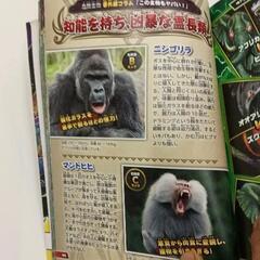 0820-193 世界の危険生物　最強王決定戦の画像
