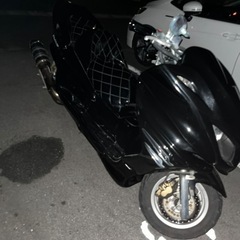 マジェスティ 250の画像