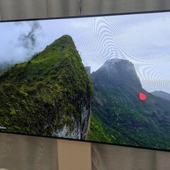 有機EL55インチテレビの画像