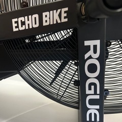 rogueローグのオプション多数エコーバイクの画像