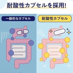 ビフィラル 乳酸菌 ビフィズス菌 酪酸菌 サプリ 4.5兆個 30日分 国内製造の画像