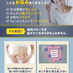 ビフィラル 乳酸菌 ビフィズス菌 酪酸菌 サプリ 4.5兆個 30日分 国内製造の画像