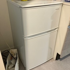 無料譲渡 日付指定 女性のみの画像