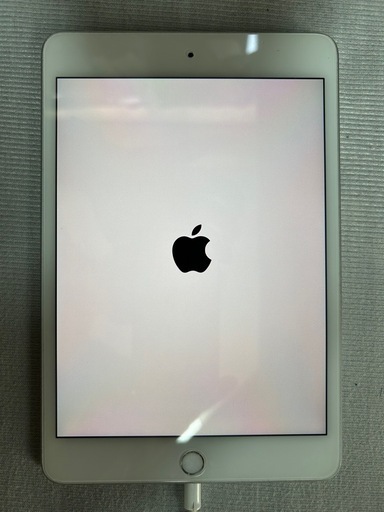 iPad iPad mini 64GB