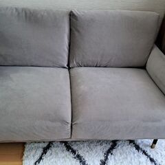 LOWYAベルベット調2人掛けソファーの画像