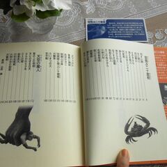 江戸川乱歩の大人気シリーズ! 少年探偵 第25巻「 空飛ぶ二十面相」。の画像