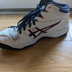 ASICS バスケットシューズ 24.5cm ハイカットの画像