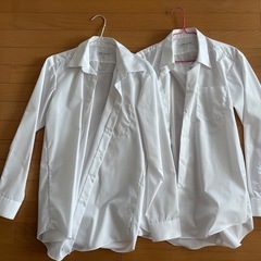 【９月末まで】【無料】男性Lサイズの服数点（写真４枚目まで）の画像