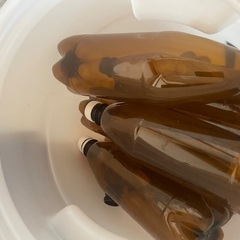 直接受け取りのみMorgan's Royal Oak Amber Ale ビールの画像