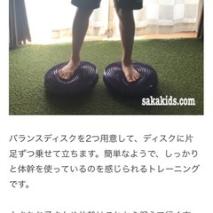 ヨガバランスクッション2個セットの画像