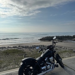 ドラックスター250
の画像