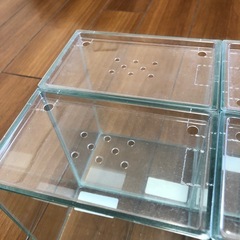 【お取引中】ベタ用 15cm水槽 8個セットの画像