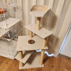 キャットタワーの画像