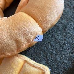 ペット　エリザベスカラー　2点の画像