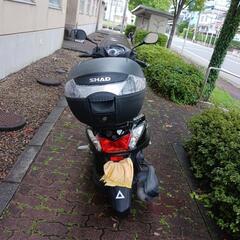 アクシスz125ccsej6j2022年の画像