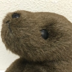 ティッシュカバー　アシカ？の画像