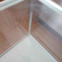 水槽の画像