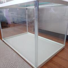 水槽の画像