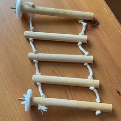 小動物用　おもちゃの画像