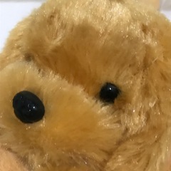 ティッシュカバー　犬の画像