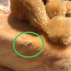 ティッシュカバー　犬の画像