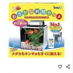 TETRA おさかな飼育セット4つセットの画像