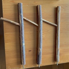 小動物用　おもちゃの画像