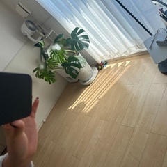 割れない鏡 全身鏡の画像