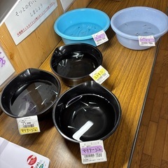 めだかの画像