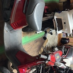 ペリカンジョグの画像