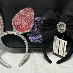 【お譲り先募集中】黒キャリーバッグ、夏目友人帳くじ景品、ディズニーランドカチューシャ2点セットの画像