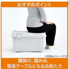 ニトリ収納ボックス　未使用品　8月中のお取引きの画像