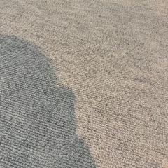 六畳用　ウール100% 防炎防音防ダニカーペットの画像