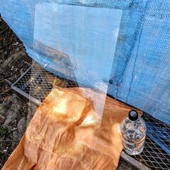 大きな薄いガラス板　差し上げますの画像
