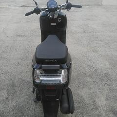 ホンダ 50cc DUNKの画像