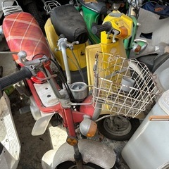 キュートの画像