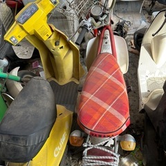 キュートの画像