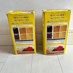 ブリーチ　染め粉　カラー剤の画像