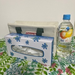 美品！Coleman 保冷バッグの画像